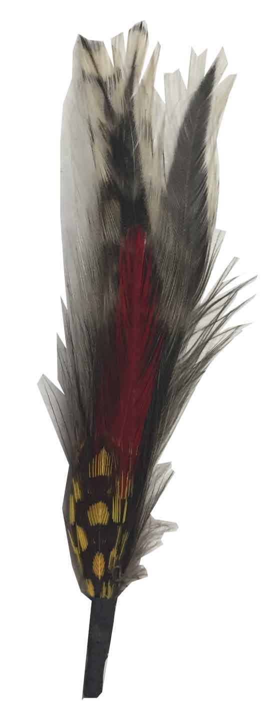 C Side Feather for Hats & Fedoras, FQH - FINAL SALE